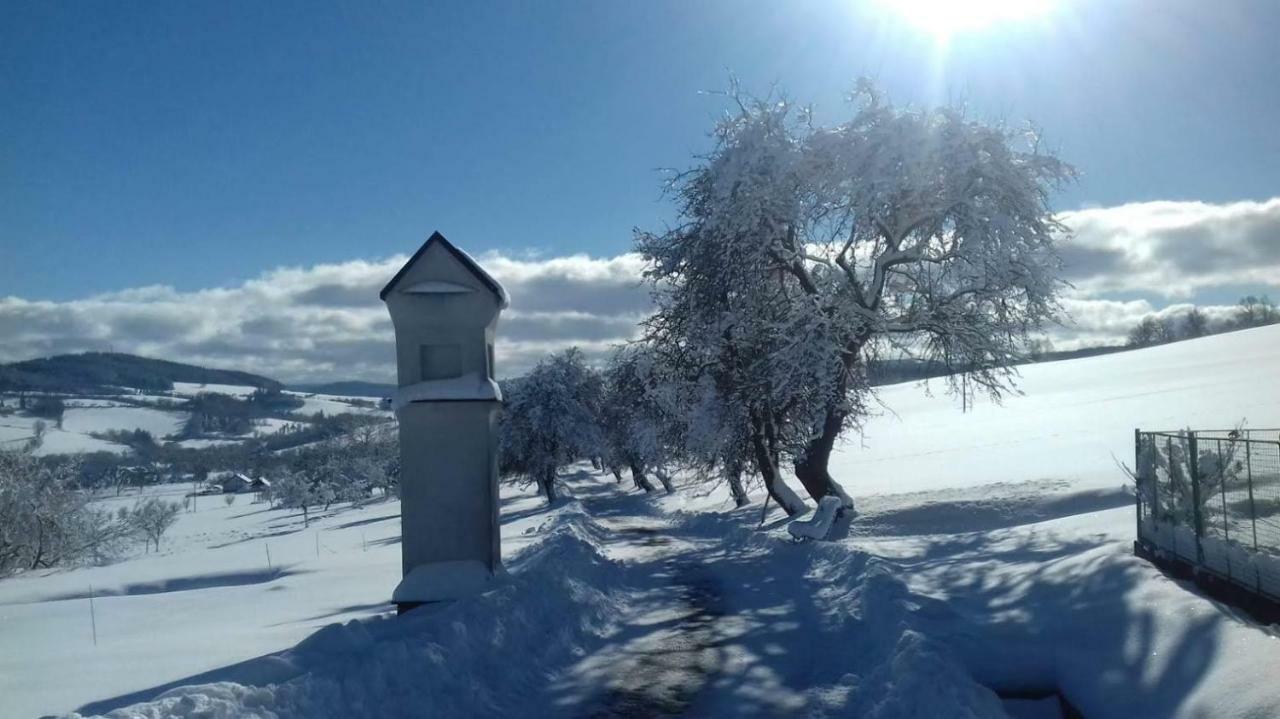 Stylova Chalupa Na Kraji Narodniho Parku Sumava Strunkov Extérieur photo